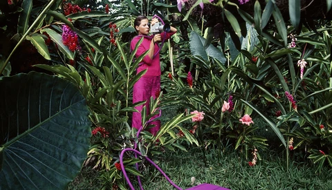 Purple vintage television set displaying a butterfly among vibrant magenta flowers and green foliage in a garden setting.