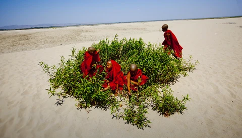Buddhist monks in red robes gathered around green vegetation on a vast sandy beach.