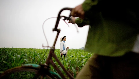 Irrigation pipe in sharp focus in foreground with farmer standing in green crop field beyond.