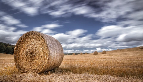Golden hay bale in foreground of harvested field with additional bales visible in distance under dramatic cloudy sky.