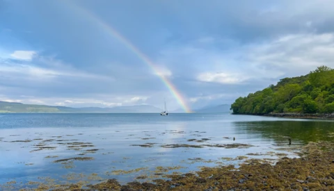 Rainbow stretching from stormy sky to calm bay waters, with forested shoreline and distant sailboat.