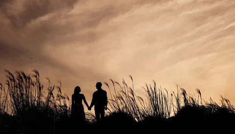 Two people silhouetted against a dramatic golden sky, holding hands while standing among tall marsh grasses.