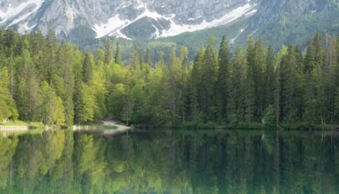 Alpine lake with coniferous forest and snow-capped mountain reflected in still water.