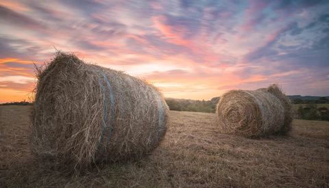 Two large round hay bales in a harvested field under a dramatic sunset sky with pink and orange clouds.