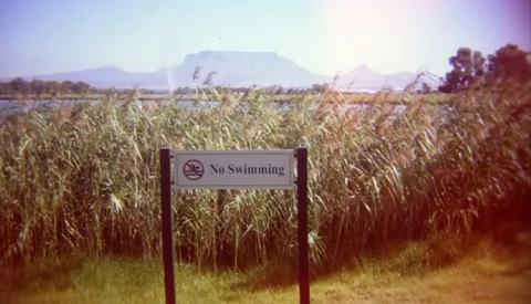 No Swimming sign in a cornfield with table mountain visible in the distance.