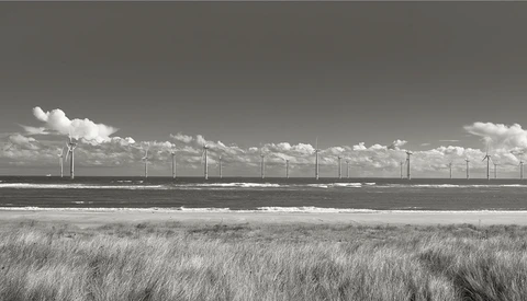 Offshore wind turbines line the horizon beyond a coastal marsh with tall grasses in the foreground.