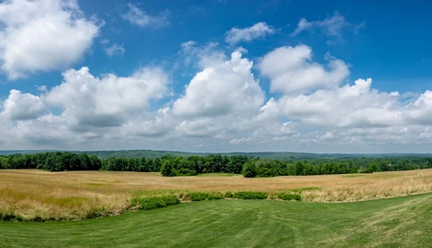 Rolling green field with tree line under blue sky dotted with white cumulus clouds.