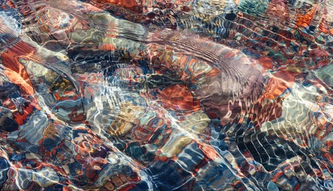 Shallow water surface with colorful rocks and ripple patterns creating abstract reflections.