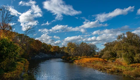 River flowing through autumn landscape with golden trees and blue sky with white clouds.