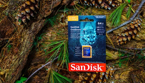 SanDisk Outdoors memory card with orange casing displayed on forest floor surrounded by pinecones and evergreen needles.