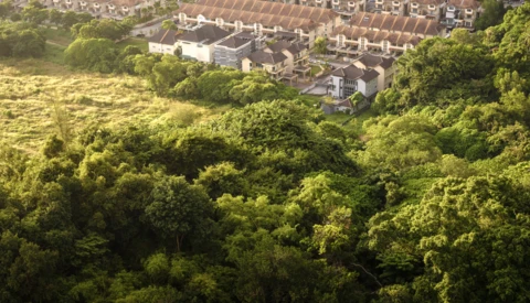 Aerial view of suburban residential houses surrounded by dense green woodland canopy.