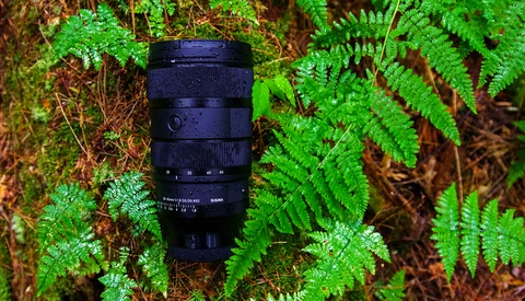 Black telephoto zoom lens positioned on moss and fern-covered forest ground.