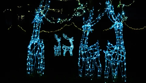 Illuminated wire-frame figures of people and reindeer created with blue and green lights against a black background.