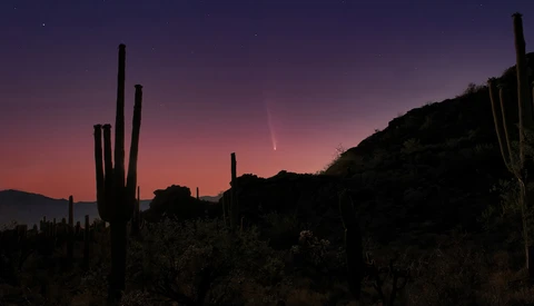 Silhouetted saguaro cacti against a deep purple twilight sky with a comet visible overhead.
