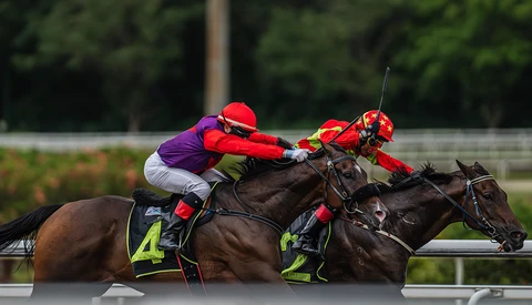 Two jockeys on dark horses racing neck-and-neck during a horse race, wearing red and purple silks.