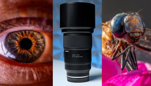 Macro photography triptych showing human eye with golden iris, telephoto lens, and insect head with compound eyes.