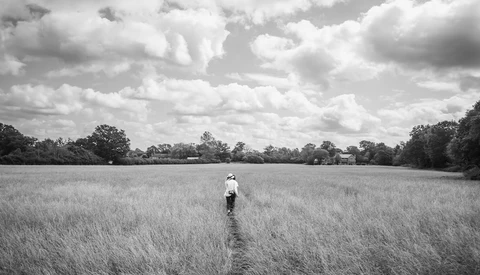 Solitary figure walking away through a vast grain field toward distant treeline under dramatic cloudy sky.