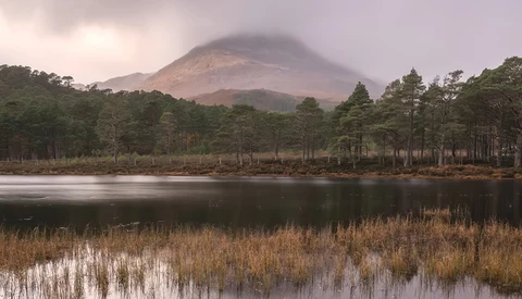 Misty volcano rising above a forested shoreline and still lake at dawn.
