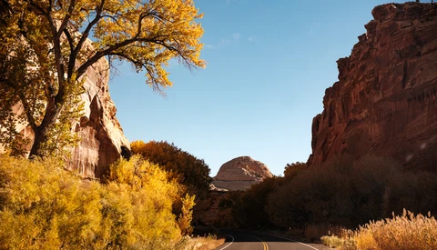Desert highway stretching toward rock formations under clear blue sky, flanked by golden autumn foliage and red canyon walls.