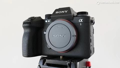 Sony a1 mirrorless camera body mounted on a tripod plate, shown from the front against a neutral background.