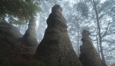 Conical rock formations rising through mist in a dense forest with bare trees.