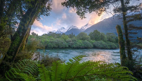Snow-capped mountain peaks framed by moss-covered trees and ferns overlooking a calm river at dusk.