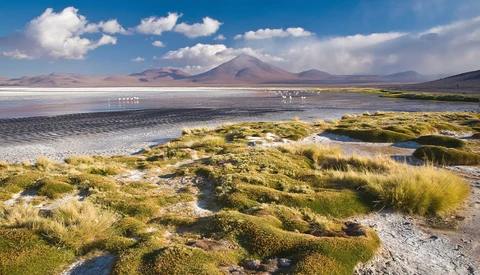 Salt flat landscape with volcanic mountain peak under blue sky and white clouds.