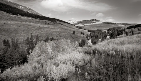 Rolling mountain valley with scattered evergreen and aspen forests under dramatic cloudy sky.