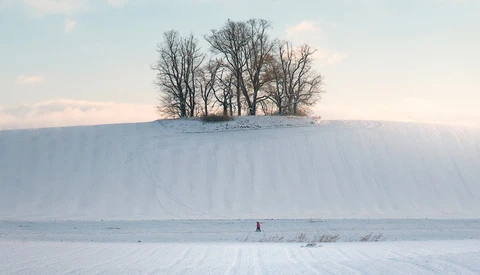 Bare trees on a snowy hilltop against a winter sky, with a solitary figure in the distant snow field.
