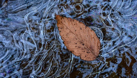 Brown autumn leaf floating on water with rippling surface and ice crystals forming around edges.