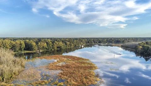 Aerial view of a winding river with wetlands and forested banks under a partly cloudy sky.