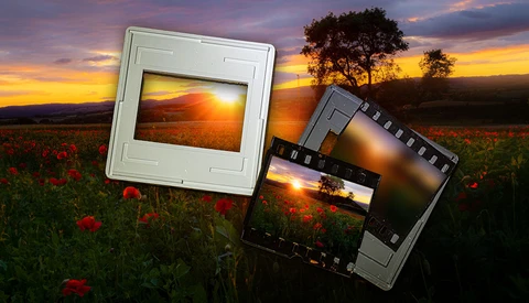 Vintage slide frames and film strips overlaid on a golden sunset landscape with wildflowers and a solitary tree.