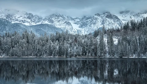 Snow-covered coniferous forest with jagged mountain peaks reflected in still lake water.