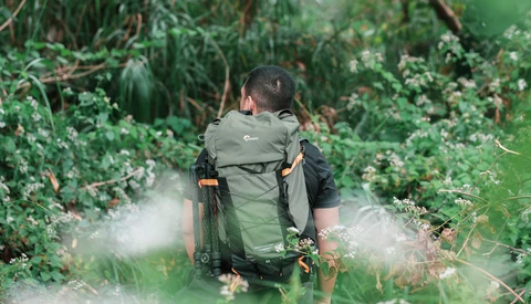 Hiker wearing a green and black backpack walking through dense green vegetation on a narrow trail.