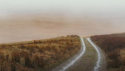 Dirt road stretching through misty moorland with golden-brown vegetation under overcast sky.