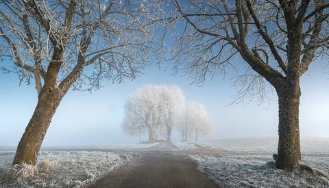 Frost-covered trees frame a misty rural road with fog-shrouded trees in the distance.