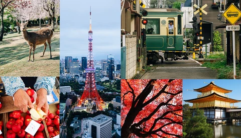 Collage of nine photographs showcasing Tokyo urban and natural scenes, including deer, cherry blossoms, street food, Tokyo Tower, and traditional architecture.