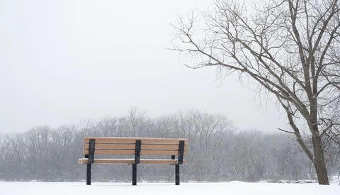 Empty wooden bench in snow-covered landscape with bare trees and overcast sky.