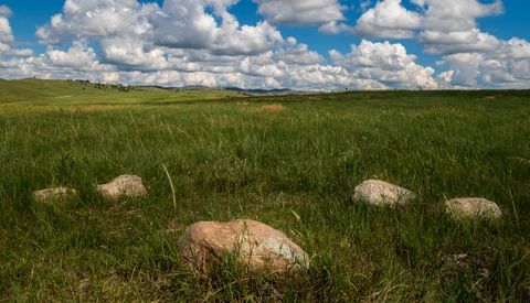 Large boulders scattered across a green prairie under a partly cloudy sky.