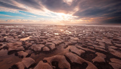 Vast mudflat landscape with intricate cracked patterns under dramatic golden sunset sky.