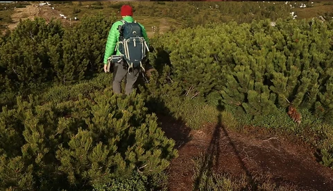 Hiker in bright green jacket and red hat walking through dense evergreen forest on dirt trail.