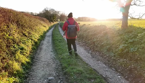 Hiker in red jacket walking away on a rural dirt path between hedgerows at golden hour.
