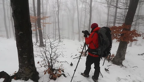 Photographer in red jacket and backpack with tripod in snowy forest with bare trees and fog.