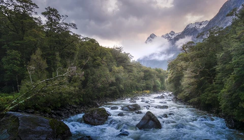 Rushing river with boulders flowing through forested valley beneath snow-capped mountains.