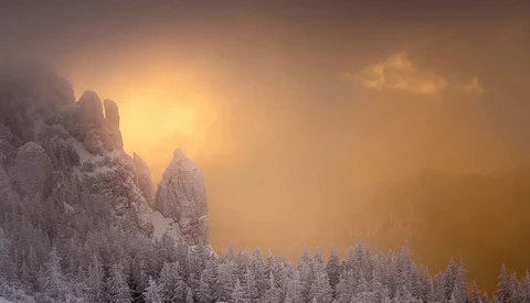 Snow-covered evergreen trees silhouetted against a golden sunrise breaking through mountain peaks.