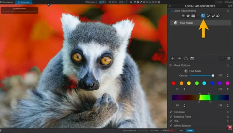 Screenshot of photo editing software showing a lemur with golden eyes and soft fur against a warm, blurred background.