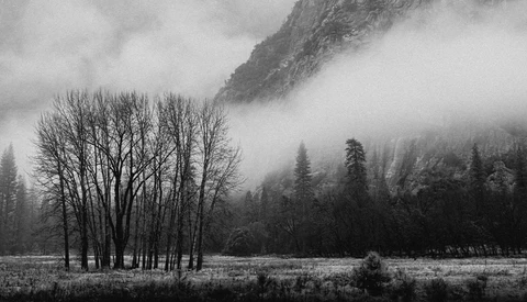Bare deciduous trees in a misty valley with forested mountains shrouded in fog.