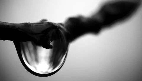 Water droplet hanging from a branch in black and white, backlit against a bright sky.