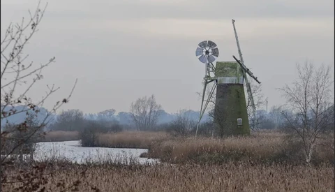 Traditional Dutch windmill with green weathered structure stands in flat marshland with bare winter trees and still water.