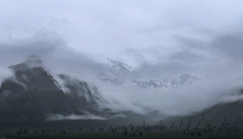 Snow-capped mountain peaks partially obscured by low-hanging clouds and mist, with evergreen forest in foreground.